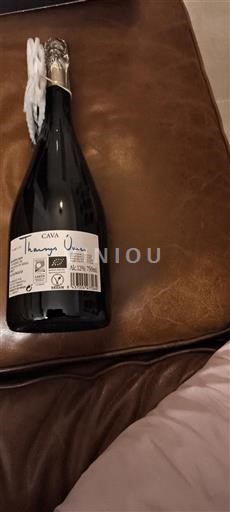 Comunidad Valenciana Utiel-Requena Pago de Tharsys Unico 2019