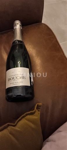 Champagne Bouché Blanc de Blancs Ikke årgangsbestemt