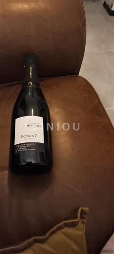Champagne R. Bouche Expertise 7 Ikke årgangsbestemt