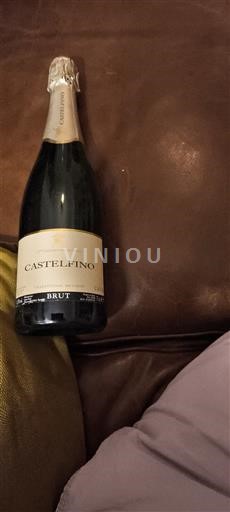 Catalonië Cava Castelfino Niet-geïntegreerd