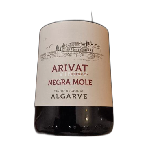 Algarve Arivat 2022 2022