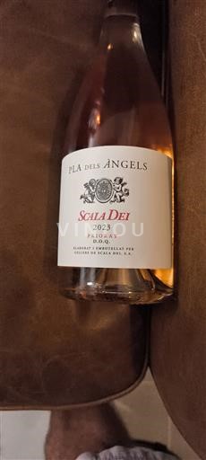 Katalonien Priorat Scala Dei Pla dels Àngels 2023