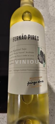 Tajo Pingo Doce Seleção Exclusivo 2023