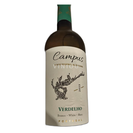 Alentejo Campus 2023