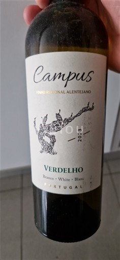 Alentejo Campus 2023