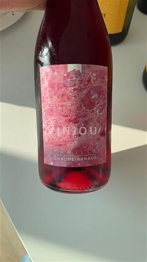 Rhônedalen Côtes du Rhône Famille Chaume-Arnaud Icke årgångsbetecknad