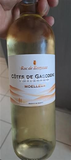 Jugozahod Côtes de Gascogne Roc de Brezsat Neleten.