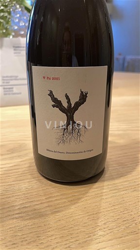 Vin Rouge sec Psi 2021 Spanien Castilien og León Ribera del Duero DO