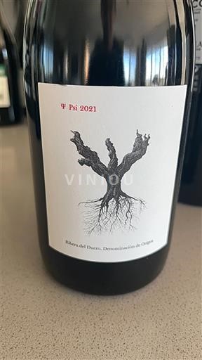 Vin Rouge sec Psi 2021 Espanja Kastilia ja León Ribera del Duero DO