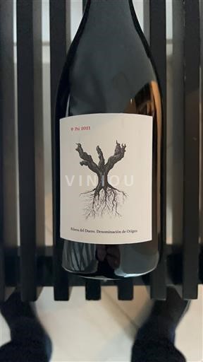 Castille và León Ribera del Duero Psi 2021
