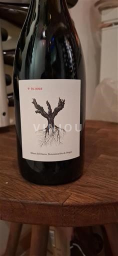 Castela e Leão Ribera del Duero Psi 2021