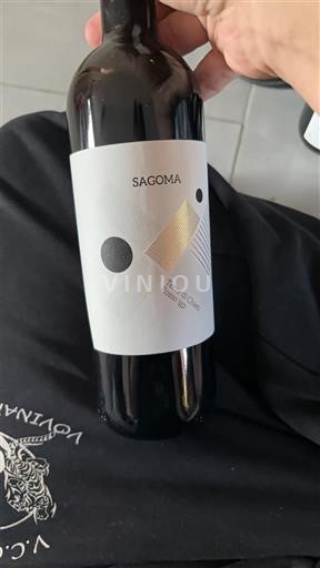 Valle della Loira Saumur-Champigny Sagoma Senza annata