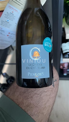 Beaujolais Saint-Amour Penlois Le Chêne du Chatelard 2022