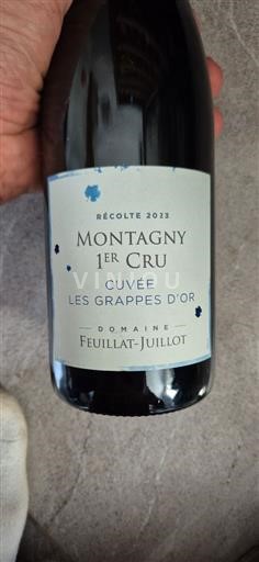 Bourgogne Montagny Premier Cru Domaine Feuillat-Juillot Les Grappes d'Or 2023