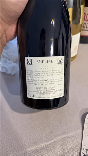 Valle del Ródano Côtes del Ródano Domaine Vallaurie Ameline 2022