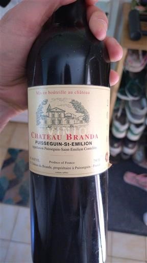 Bordeaux Puisseguin-saint-émilion Château Branda 2010