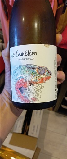Loiredalen Ospecificerad Vins Entrecoeur Le Caméléon Icke årgångsbetecknad