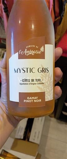 Lotharingen Côtes de Toul Domaine L'Ambroisie Mystic Gris Niet-geïntegreerd