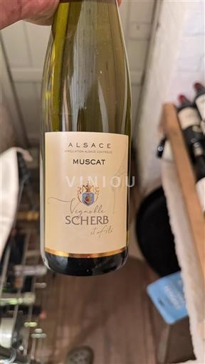 Alsace Vignoble Scherb et Fils 2021