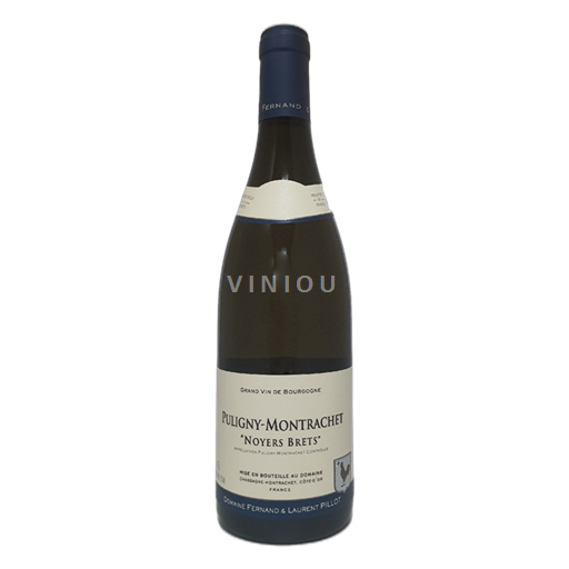 Burgundi Puligny-montrachet Domaine Fernand et Laurent Pillot Noyer Brêts 2021