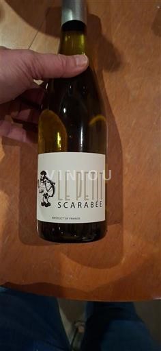 Linguadoca e Rossiglione Paese d'Oc Le Petit Scarabée 2024