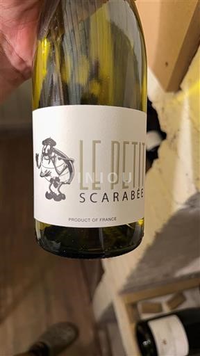 Provenza, bassa valle del Rodano, Corsica Alpi dell'Alta Provenza Le Petit Scarabée 2024