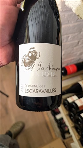Rhône Valley Côtes-du-Rhône Domaine Des Escaravailles Les Antimagnes 2020