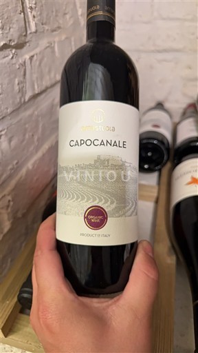 Pouilles Vinstoria Capocanale 2022