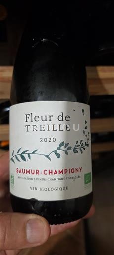 Valle della Loira Saumur-Champigny Fleur de Treille 2020