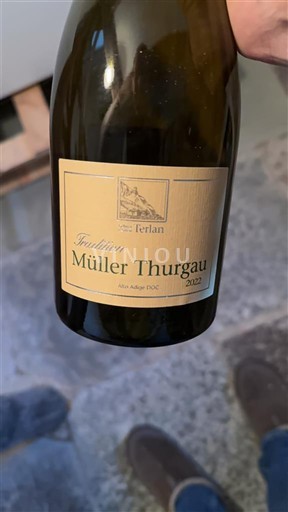 Trentino-Južna Tirolska Ni doloceno Terlan Tradition 2022