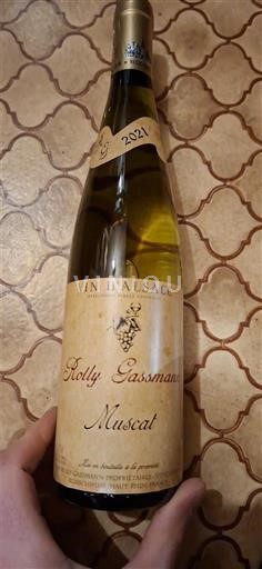 Alzacija Muškat Rolly Gassmann 2021