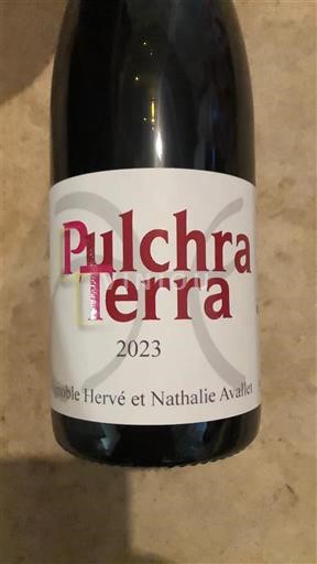 Alpi e Paesi Rodaniani Comté Rodano Domaine Hervé et Nathalie Avallée Pulchra Terra 2023