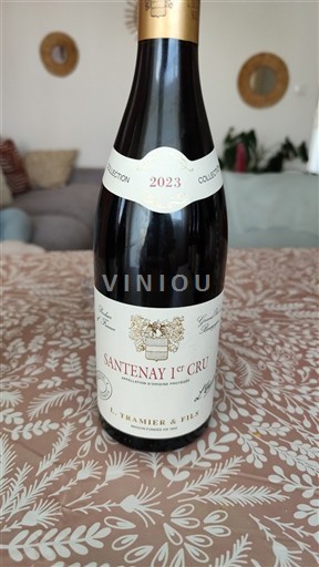 Borgoña Santenay Premier Cru J. Tramier & Fils 2023