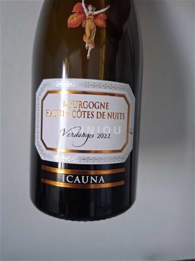 Bourgogne Hautes Côtes de Nuits Icauna Vendanges 2022