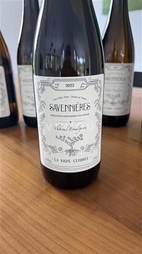 Vallée de la Loire Savennières La Vigne Cendrée 2022