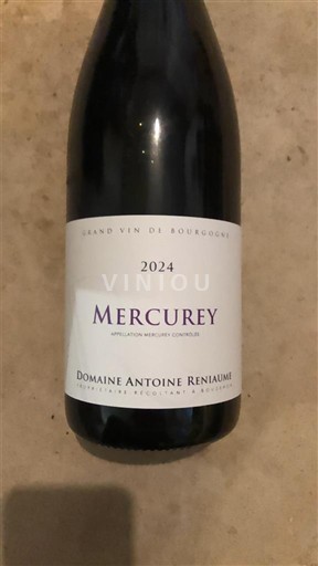 Borgogna Mercurey Domaine Antoine Reniaume 2024
