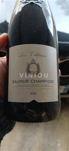Vallée de la Loire Saumur-champigny Les Villaises 2022