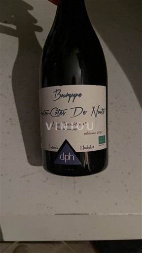 Burgundija Hautes Côtes de Nuits Patrick Hudelot Les Roncières 2022