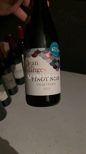 Bourgondië Niet gespecificeerd Jean des Valanges 2022