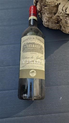 Burdeos Côtes-de-bourg Château Bouchet 1996