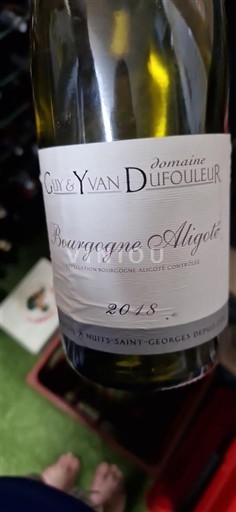 Borgoña Borgoña-Aligoté Domaine Guy & Yvan Dufouleur 2018