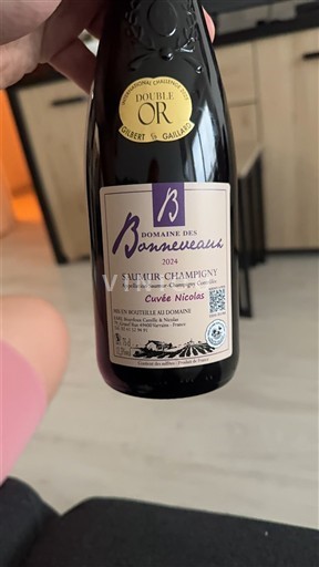 Valle della Loira Saumur-Champigny Domaine Des Bonneveaux Nicolas 2024