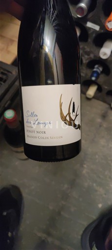 Bourgogne Ikke specificeret Maison Colin Seguin Silla des Louges 2019