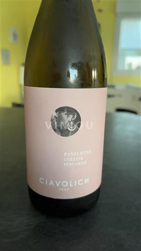 Marche Colli Pesaresi Ciavolich 2021