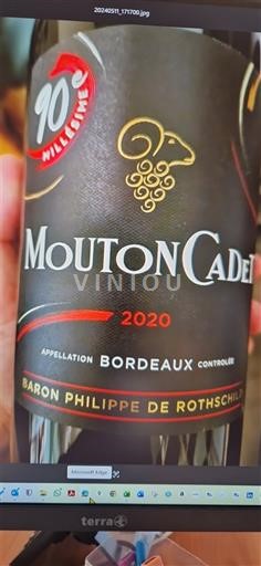Bordoja Bordo Mouton Cadet 2020