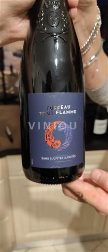 Loire-dalen Saumur Tuffeau Tout Flamme Ikke årgangsbestemt