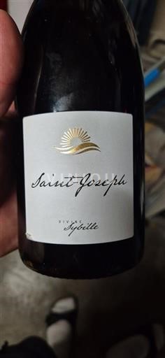Rhône-dalen Saint-Joseph Sybelie 2019
