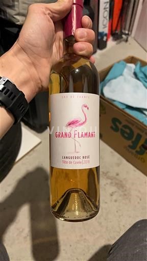 Languedoc Grand Flamant Tête de 2018