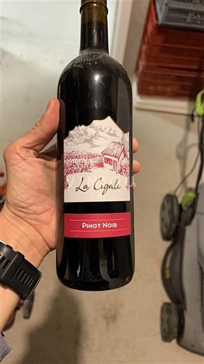 Valais Valais AOC La Cigale Pinot Noir 2022