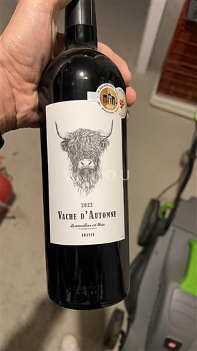 Sud-Ouest Comté tolosan Vache Automne 2023